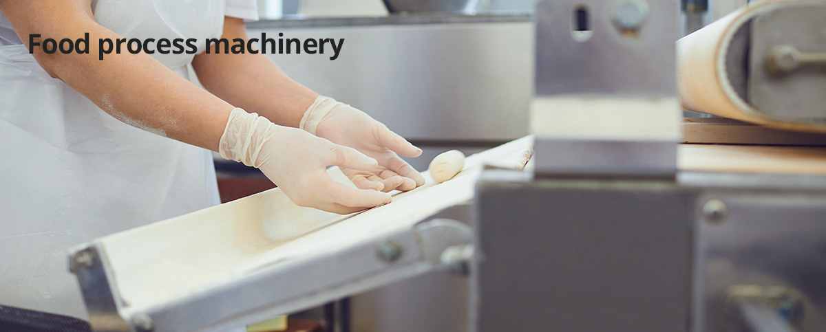 Food process machinery